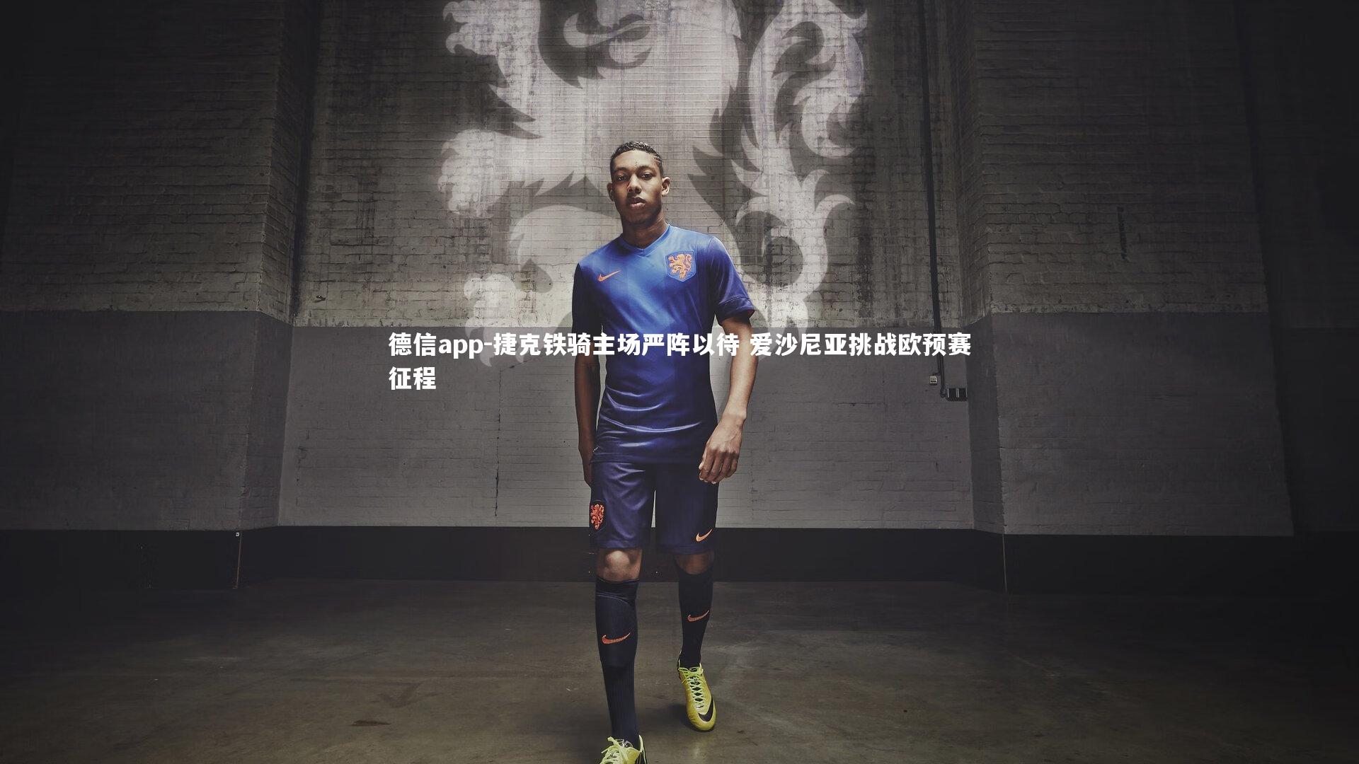 捷克铁骑主场严阵以待 爱沙尼亚挑战欧预赛征程